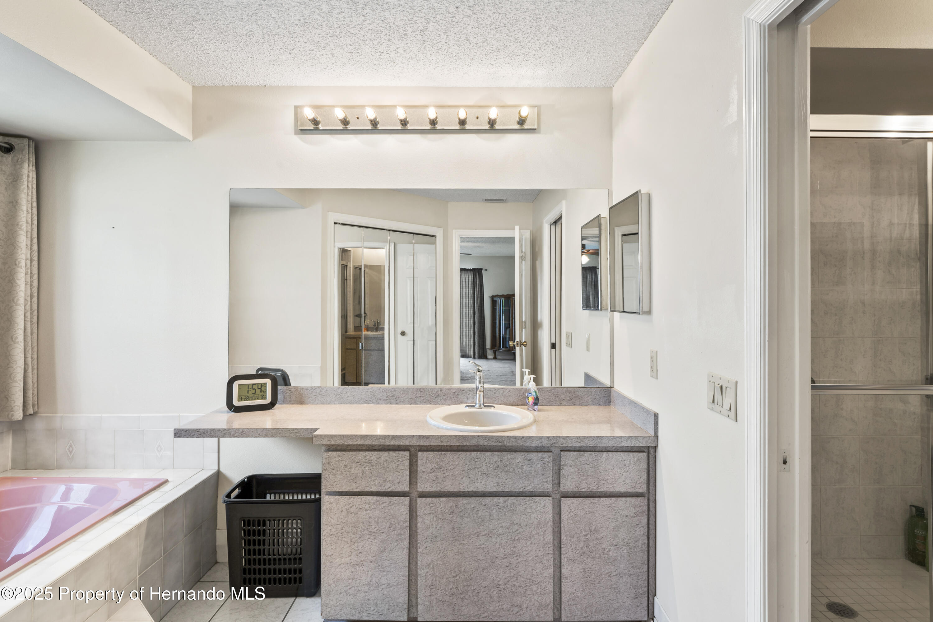 10235 Skyland Street, Spring Hill, Florida image 26