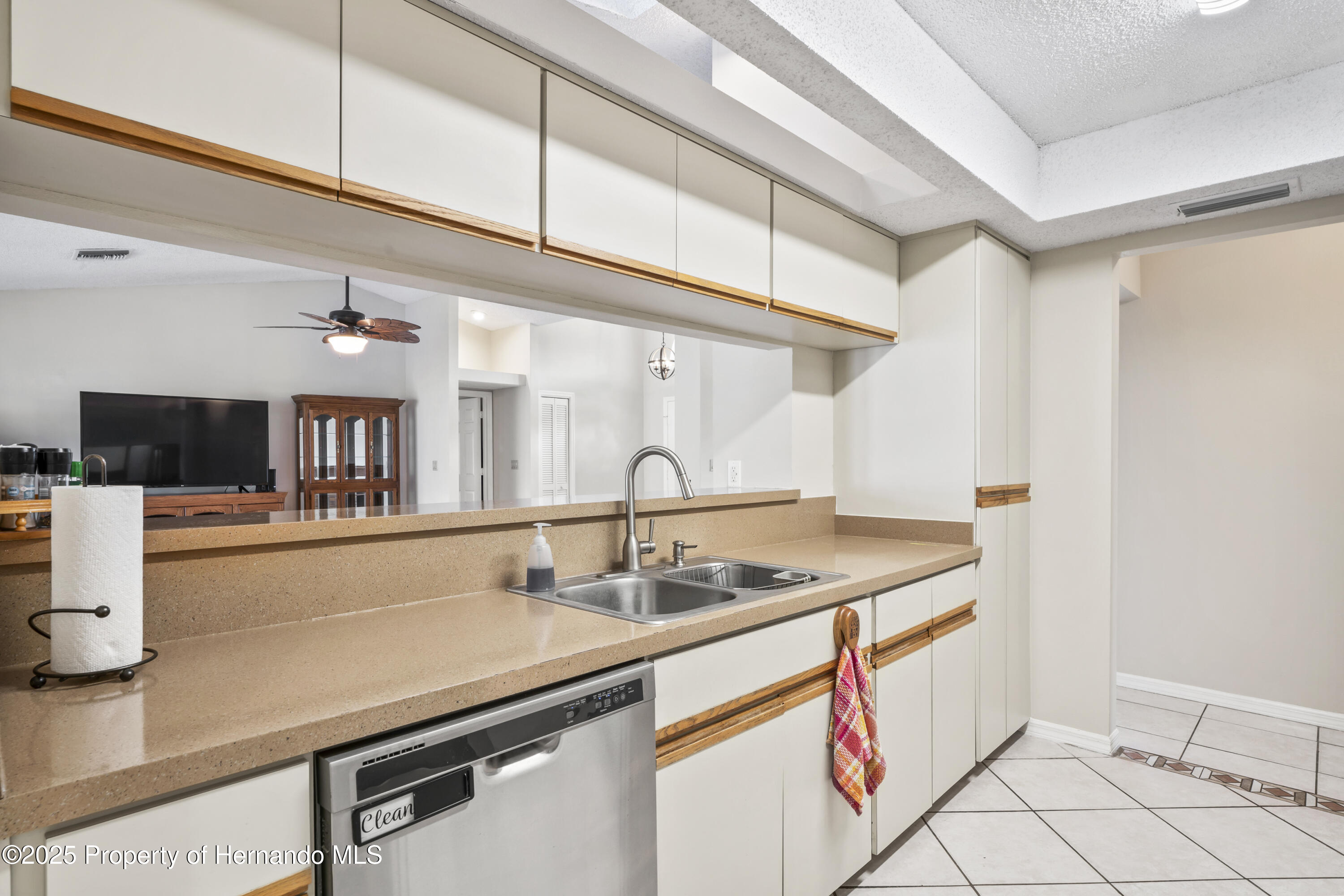 10235 Skyland Street, Spring Hill, Florida image 12