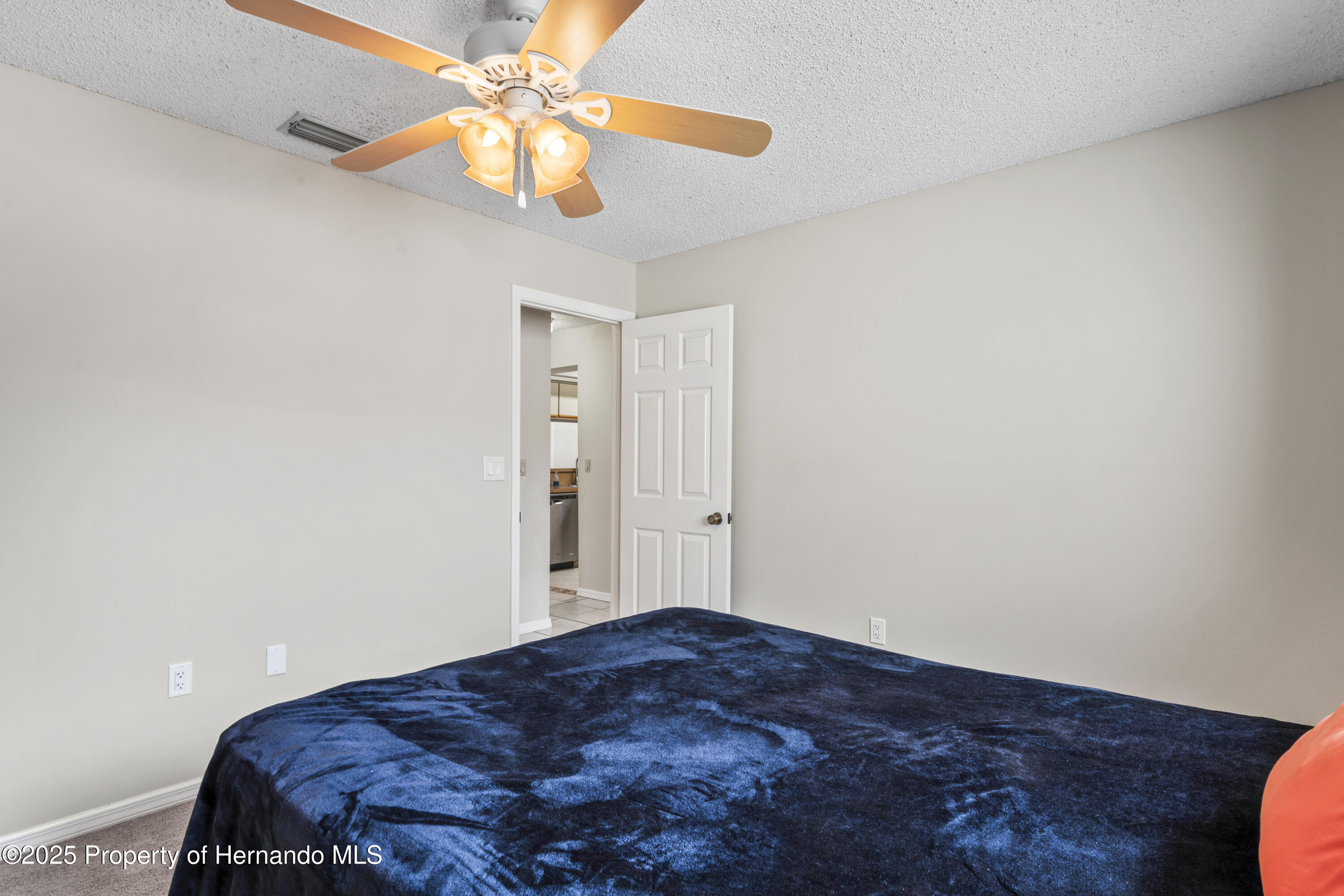 10235 Skyland Street, Spring Hill, Florida image 37