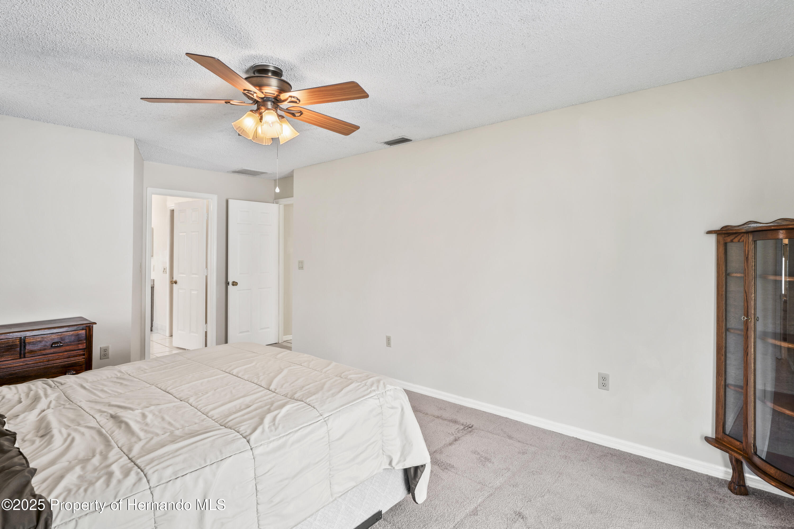 10235 Skyland Street, Spring Hill, Florida image 24