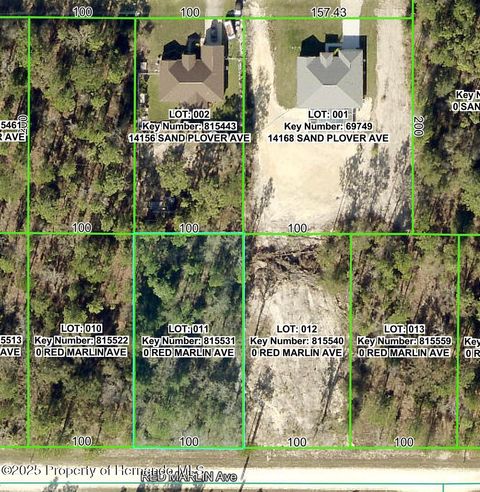 Vacant Land For Sale - LOT 11 Red Marlin Avenue<br/> Weeki Wachee, FL 34614