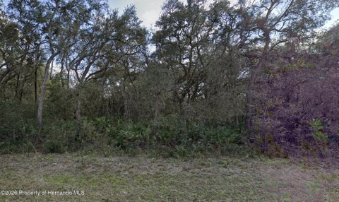 Vacant Land For Sale - 7149 Alloy Street<br/> Webster, FL 33597