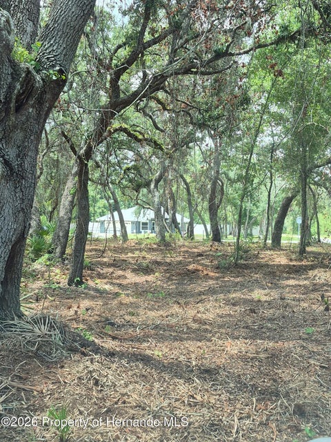 Vacant Land For Sale - 7149 Alloy Street<br/> Webster, FL 33597