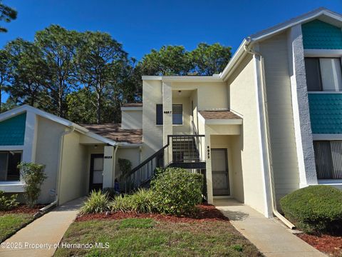 Condo For Sale - 8027 Picketts Ct. Ct<br/> Hernando County, Weeki Wachee, FL 34613