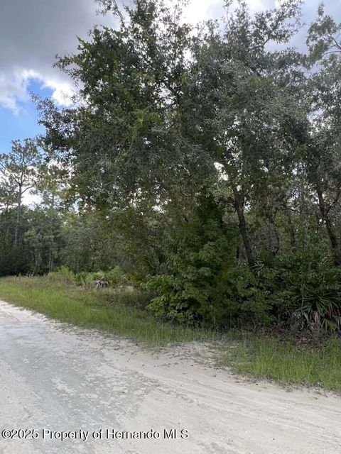 Vacant Land For Sale - Zebrafinch Avenue<br/> Weeki Wachee, FL 34614
