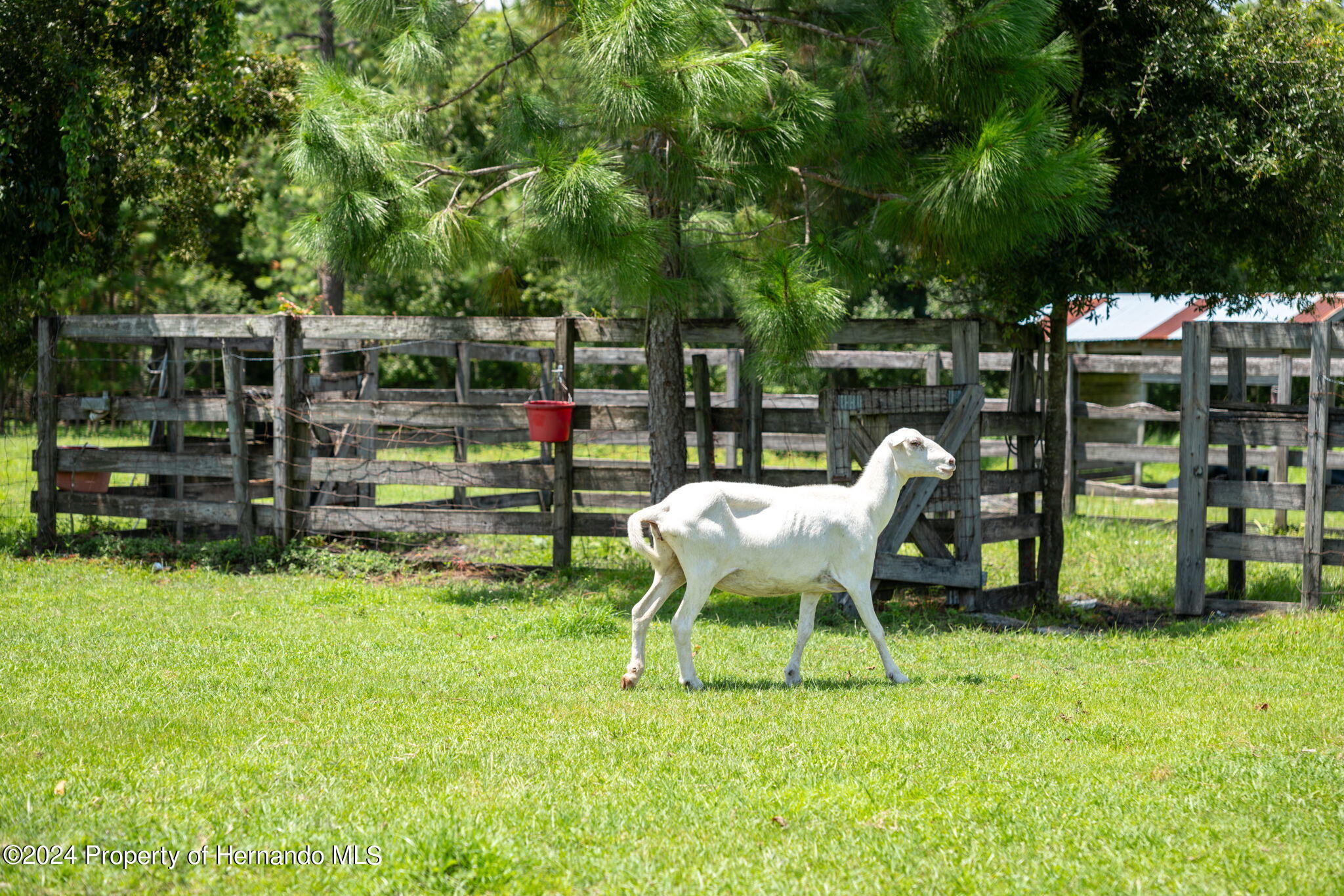 8949 Mc Kendree Road, Wesley Chapel, Florida image 41