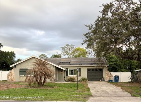 Homes For Sale - 1362 Waterfall Drive<br/> Spring Hill, FL 34608