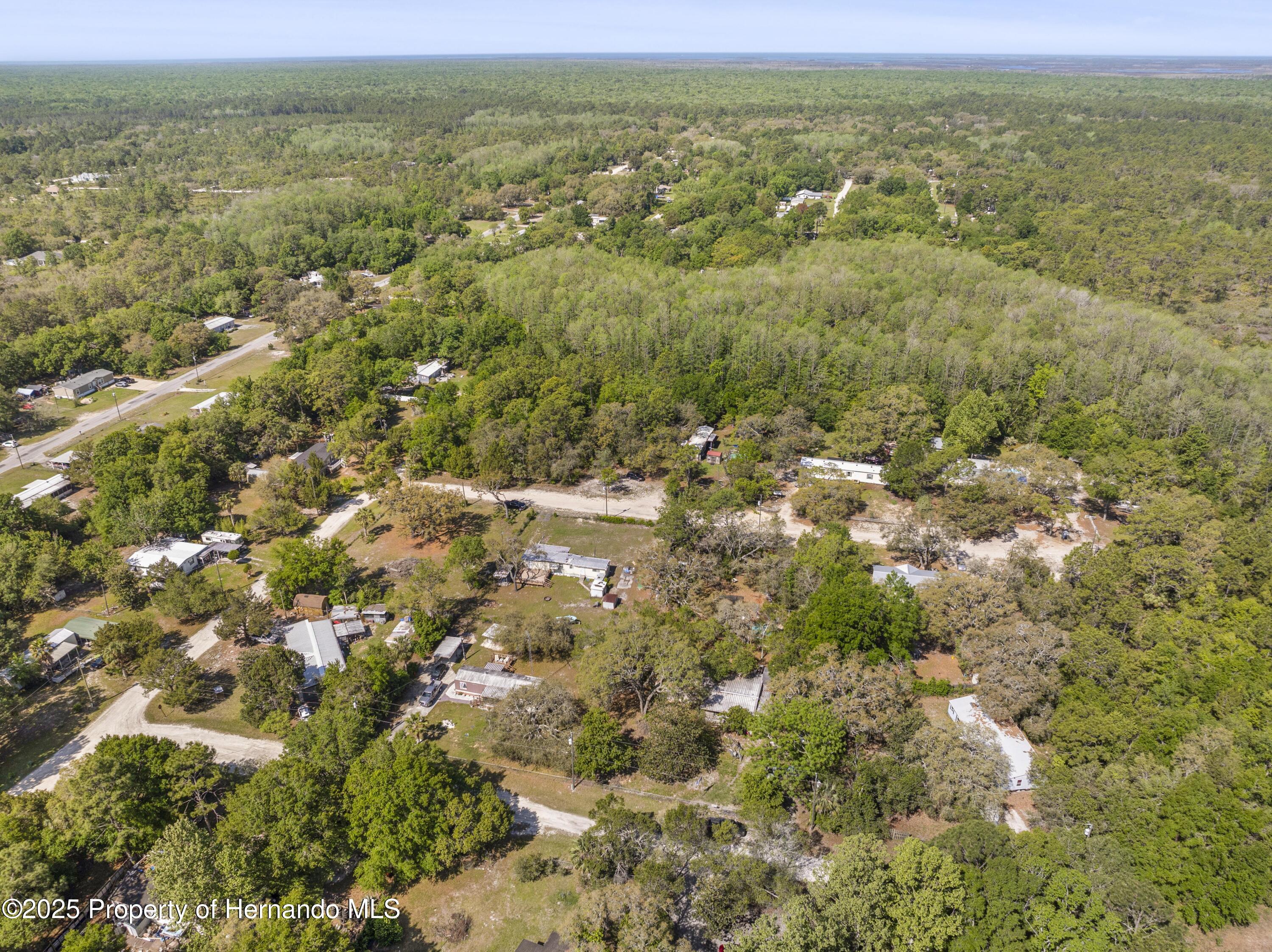 11351 S Ann Point, Homosassa, Florida image 30