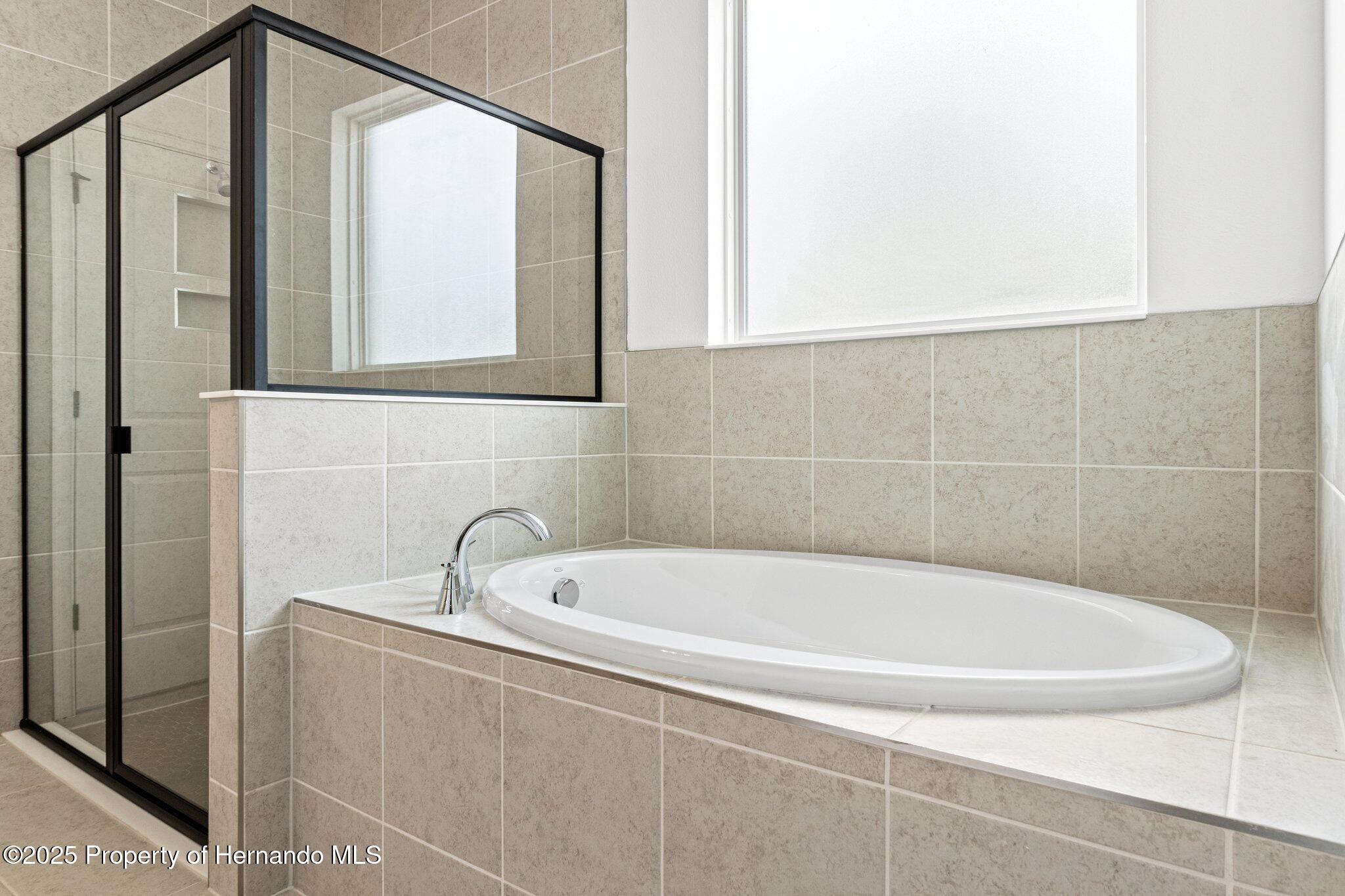 14421 Nonna Sky Drive, Spring Hill, Florida image 43