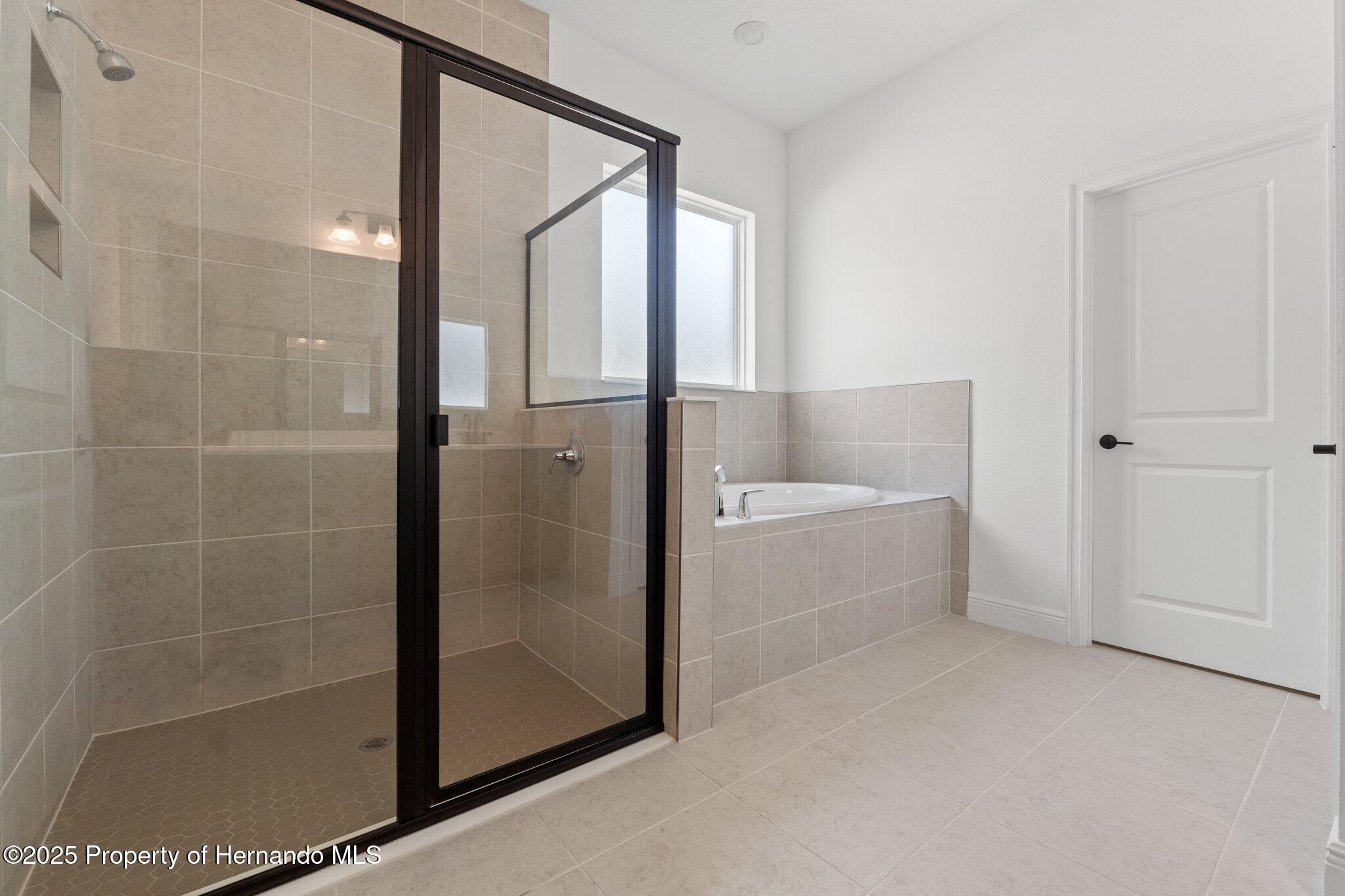 14421 Nonna Sky Drive, Spring Hill, Florida image 39