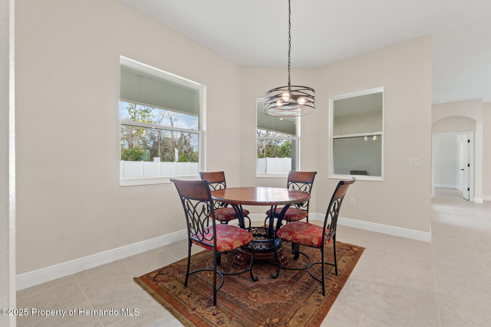 14421 Nonna Sky Drive, Spring Hill, Florida image 21