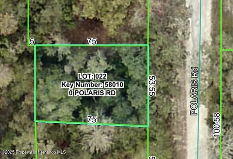 Vacant Land For Sale - Polaris Road<br/> Dade City, FL 33523
