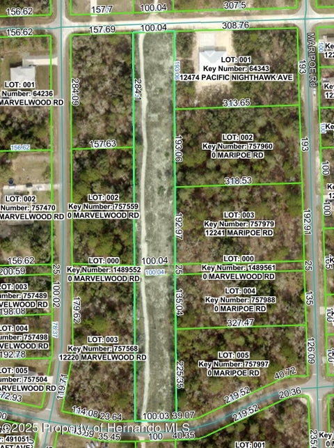 Vacant Land For Sale - Pacific Nighthawk<br/> Weeki Wachee, FL 34614