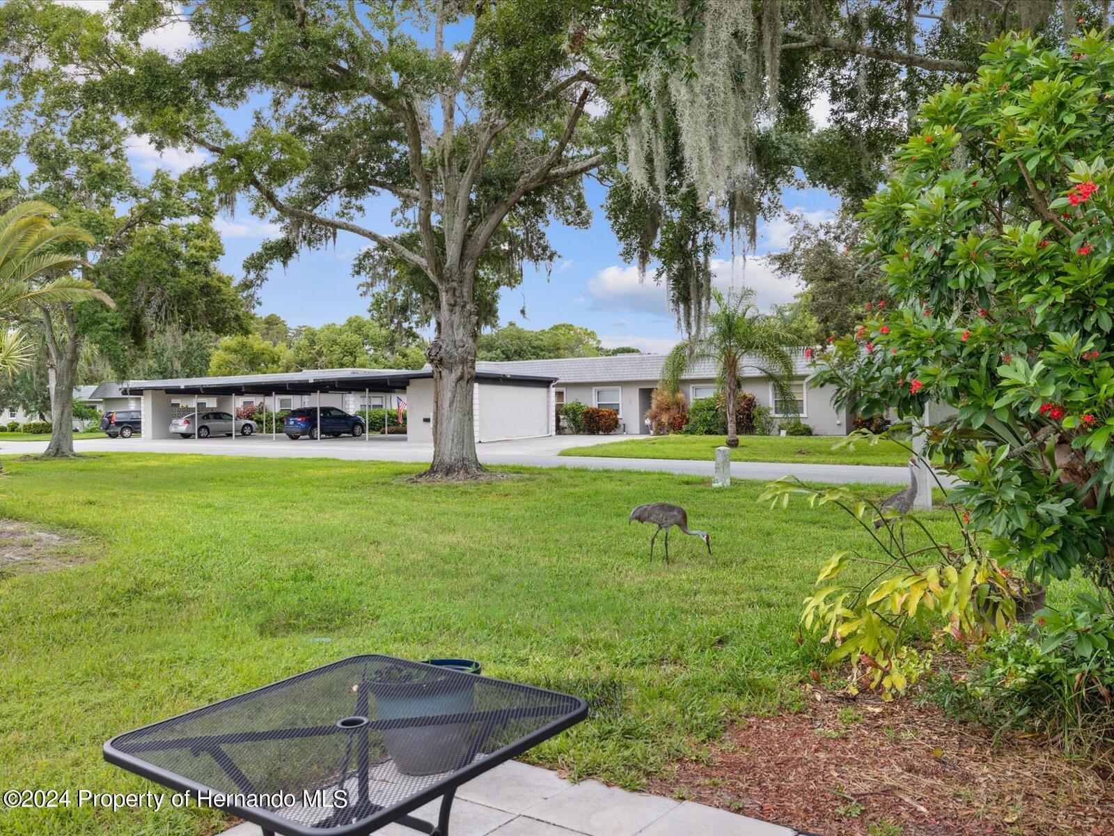 3544 Teeside Drive, New Port Richey, Florida image 32