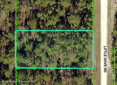 16433 Little Dove Road, Brooksville, Florida image 1
