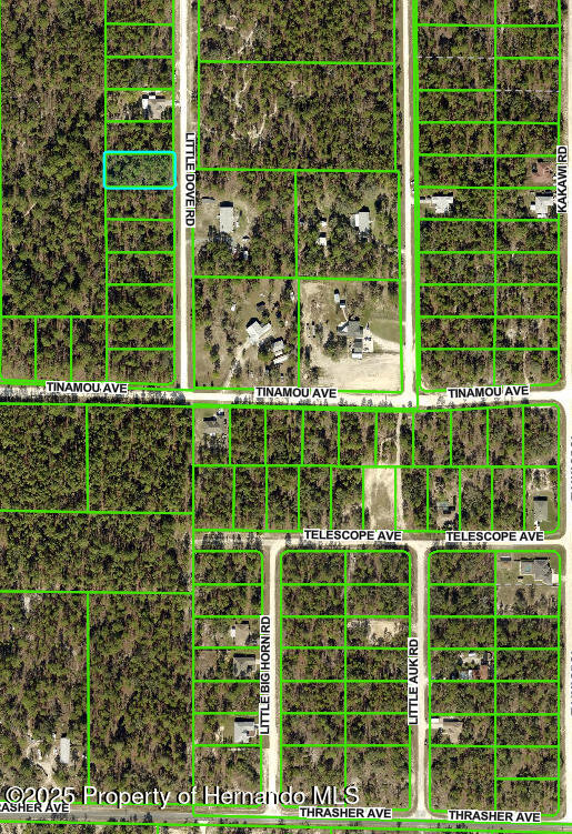 16433 Little Dove Road, Brooksville, Florida image 3