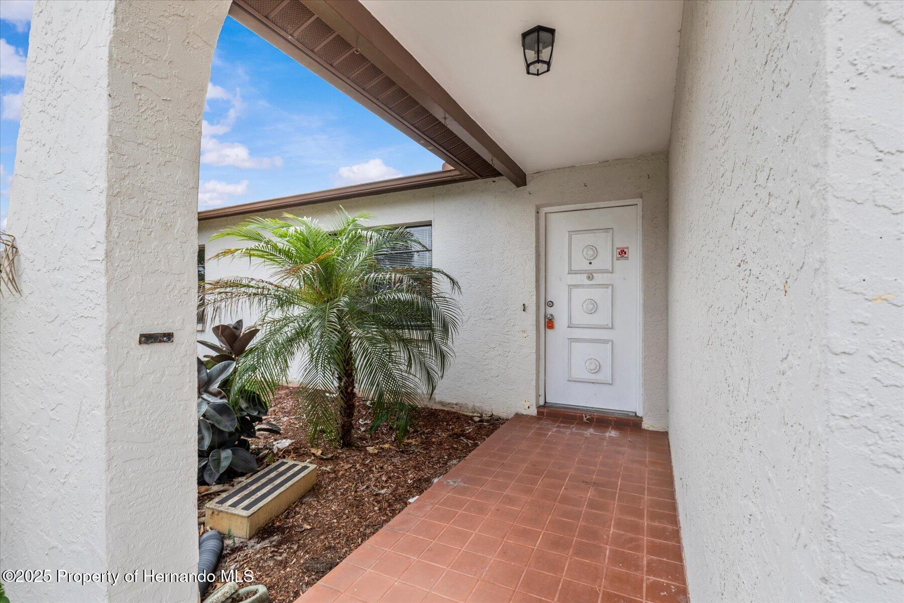 2450 Ambassador Avenue, Spring Hill, Florida image 5