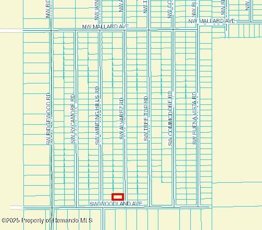 473545 Sw Alvarez Road, Dunnellon, Florida image 2