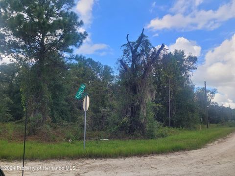 Vacant Land For Sale - 16224 Crider Road<br/> Weeki Wachee, FL 34614