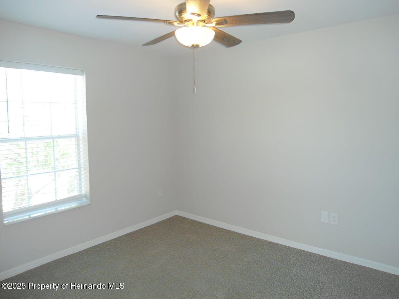12431 White Bluff Road, Hudson, Florida image 13