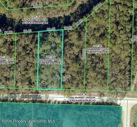 Vacant Land For Sale - 34338 Berryhill Drive<br/> Webster, FL 33597