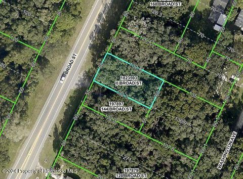 Vacant Land For Sale - 00 Broad Avenue<br/> Brooksville, FL 34604