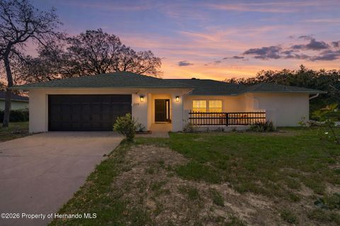 Homes For Sale - 2314 Danforth Road<br/> Spring Hill, FL 34608