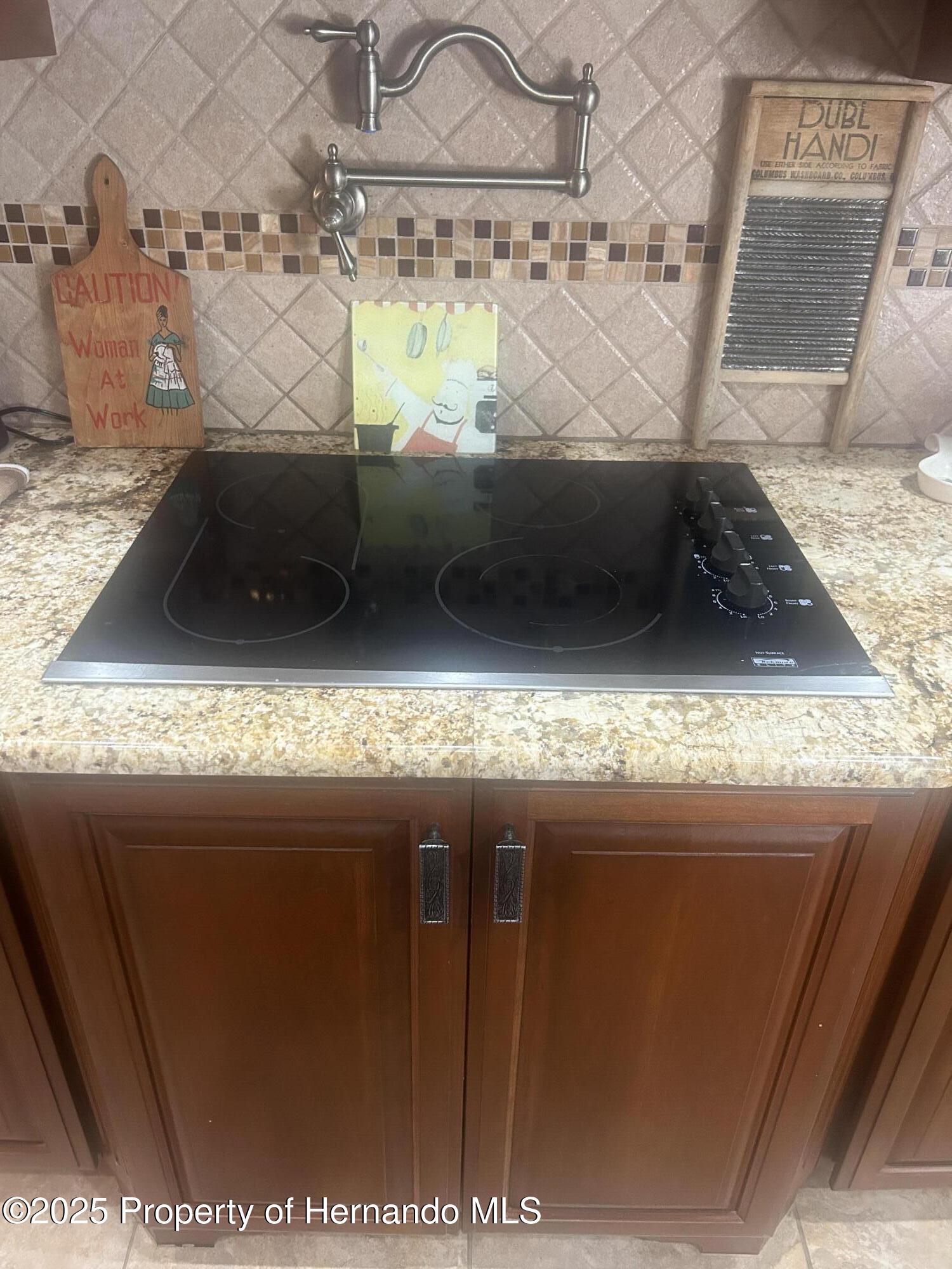 6475 Laurel Oak Drive, Spring Hill, Florida image 29