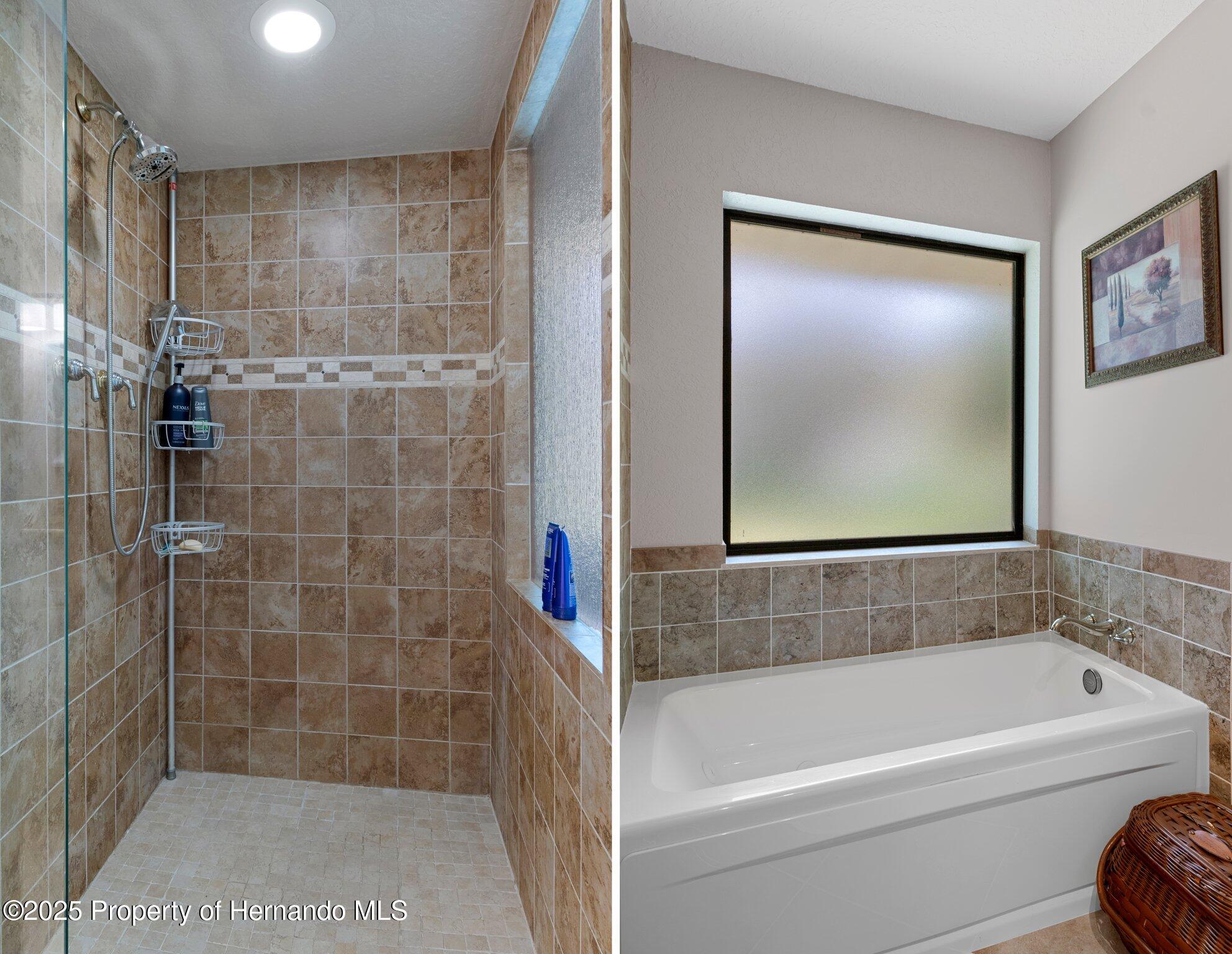 6475 Laurel Oak Drive, Spring Hill, Florida image 46