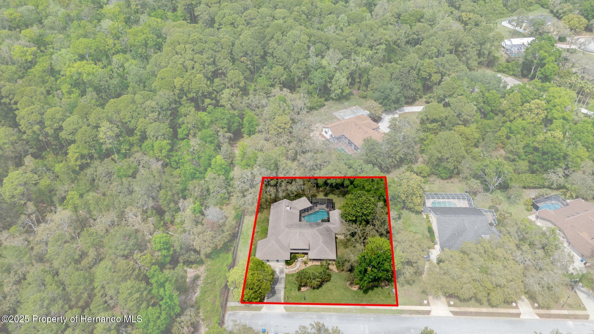 6475 Laurel Oak Drive, Spring Hill, Florida image 6
