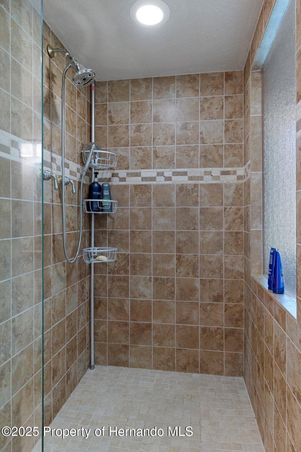 6475 Laurel Oak Drive, Spring Hill, Florida image 47