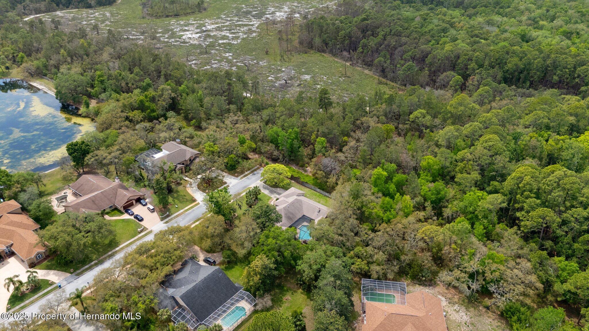 6475 Laurel Oak Drive, Spring Hill, Florida image 9