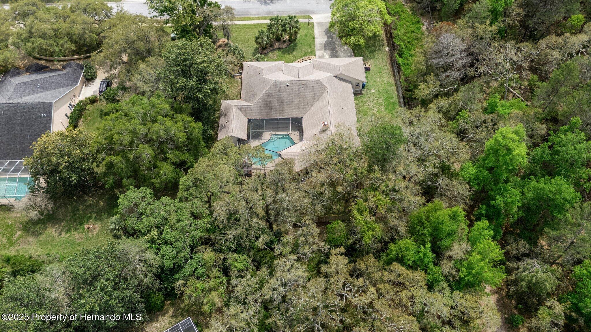6475 Laurel Oak Drive, Spring Hill, Florida image 13