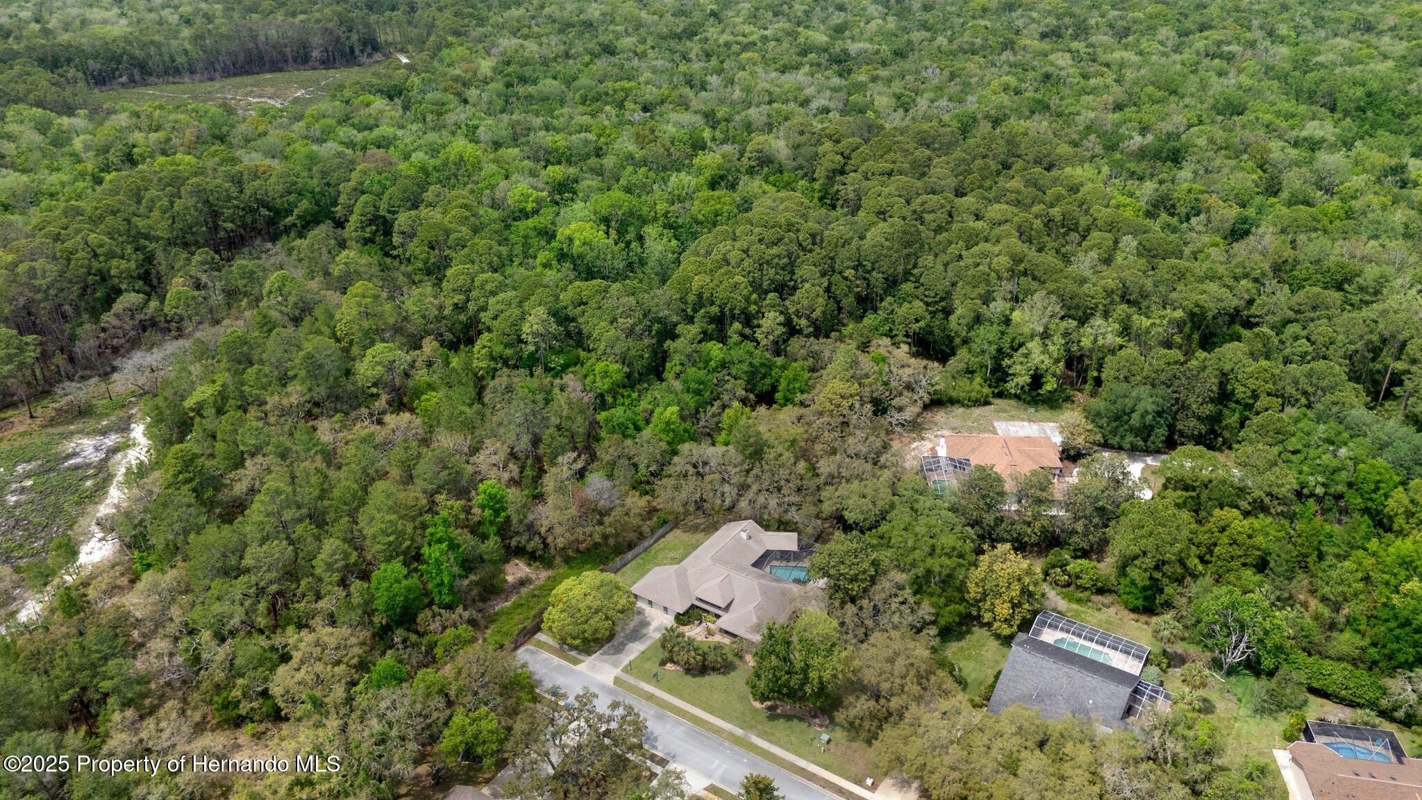 6475 Laurel Oak Drive, Spring Hill, Florida image 8