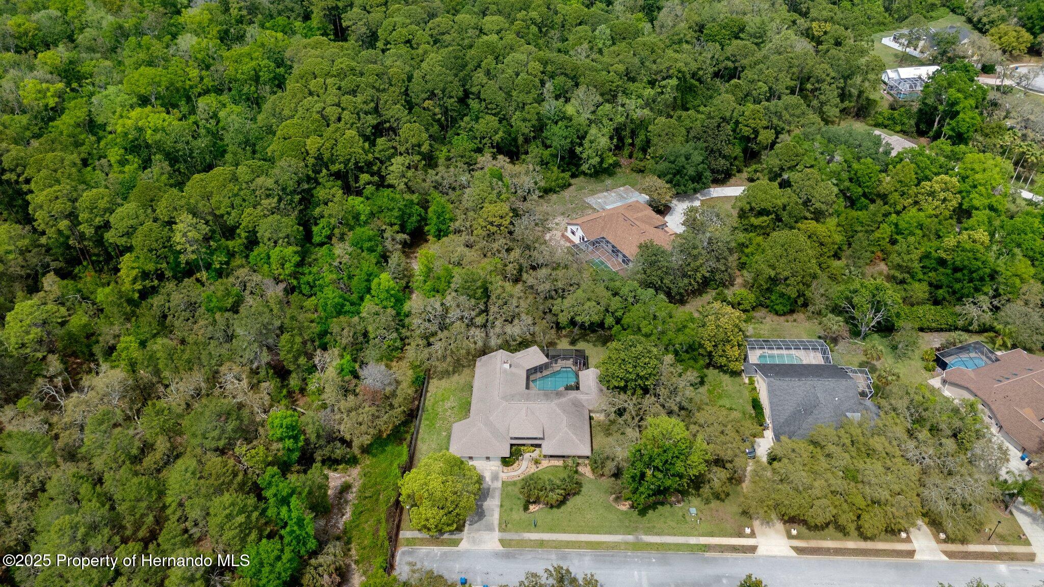 6475 Laurel Oak Drive, Spring Hill, Florida image 7