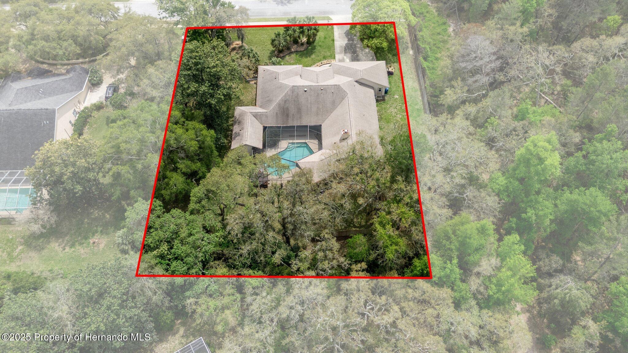 6475 Laurel Oak Drive, Spring Hill, Florida image 12