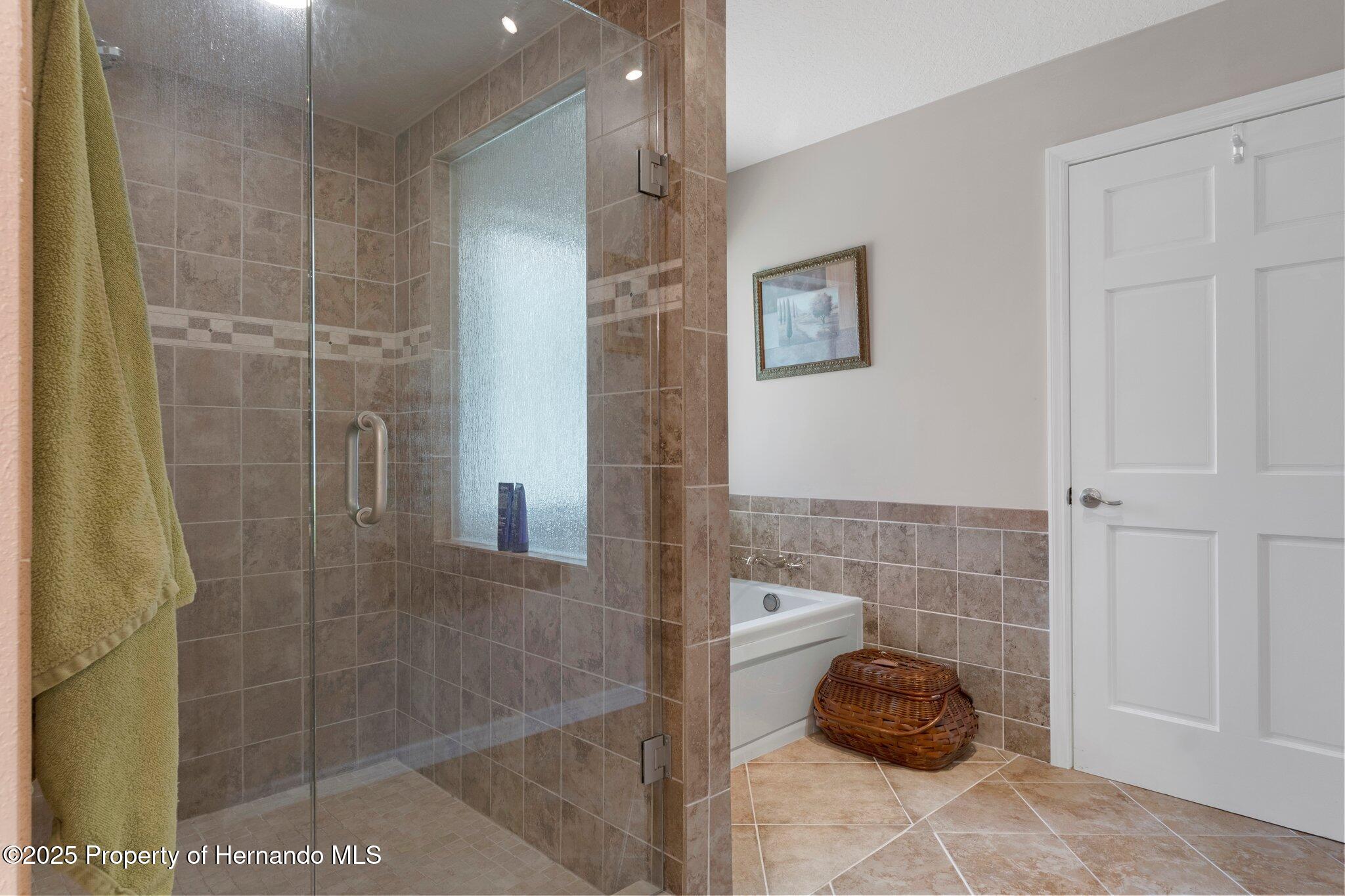 6475 Laurel Oak Drive, Spring Hill, Florida image 45