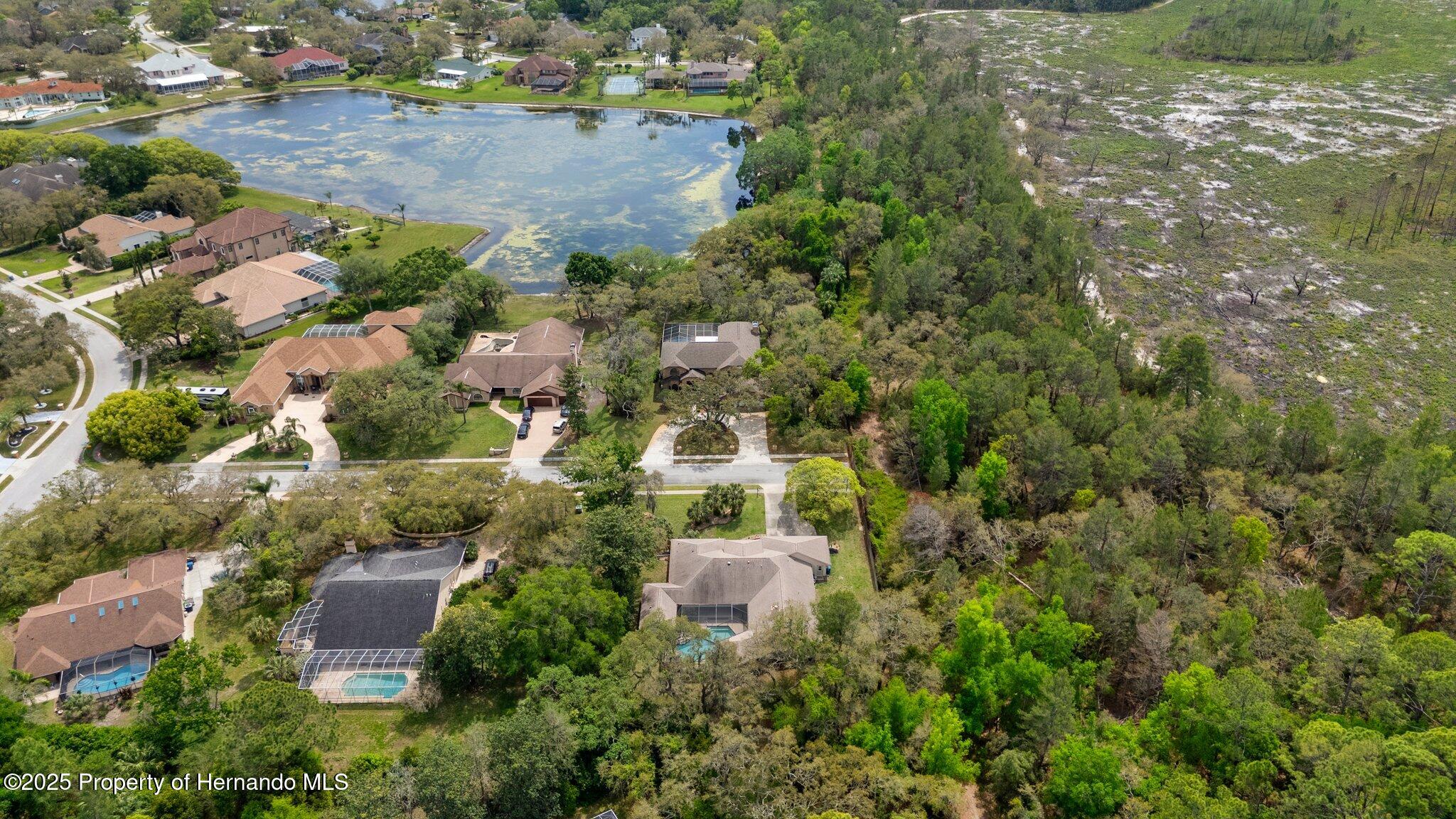 6475 Laurel Oak Drive, Spring Hill, Florida image 11