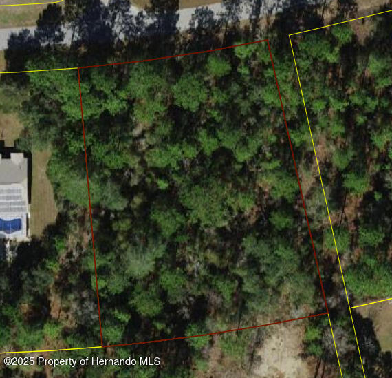 3614 W Giraffe Drive, Citrus Springs, Florida image 1