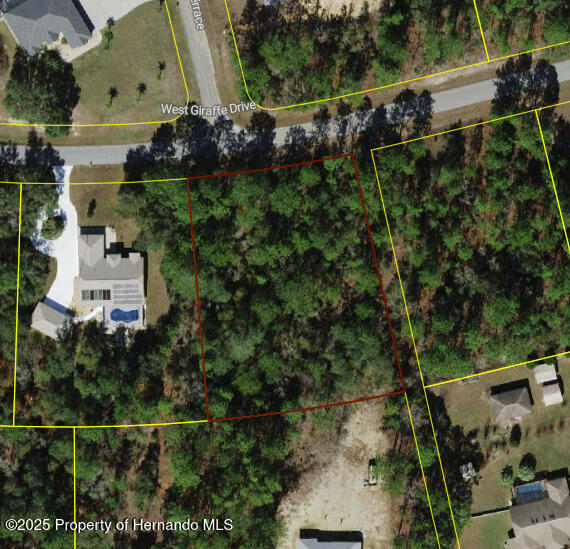 3614 W Giraffe Drive, Citrus Springs, Florida image 2