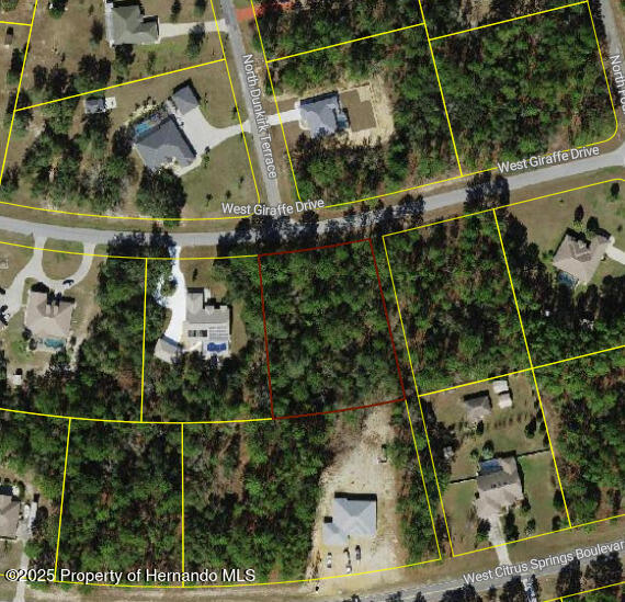 3614 W Giraffe Drive, Citrus Springs, Florida image 3