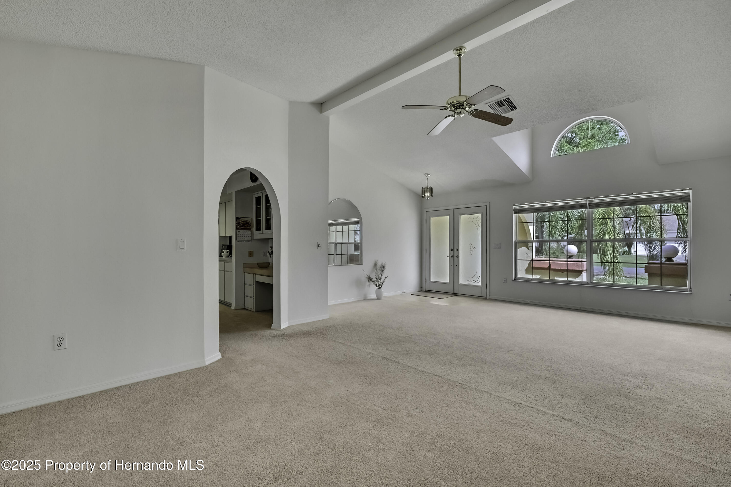 10412 Ireland Street, Spring Hill, Florida image 8
