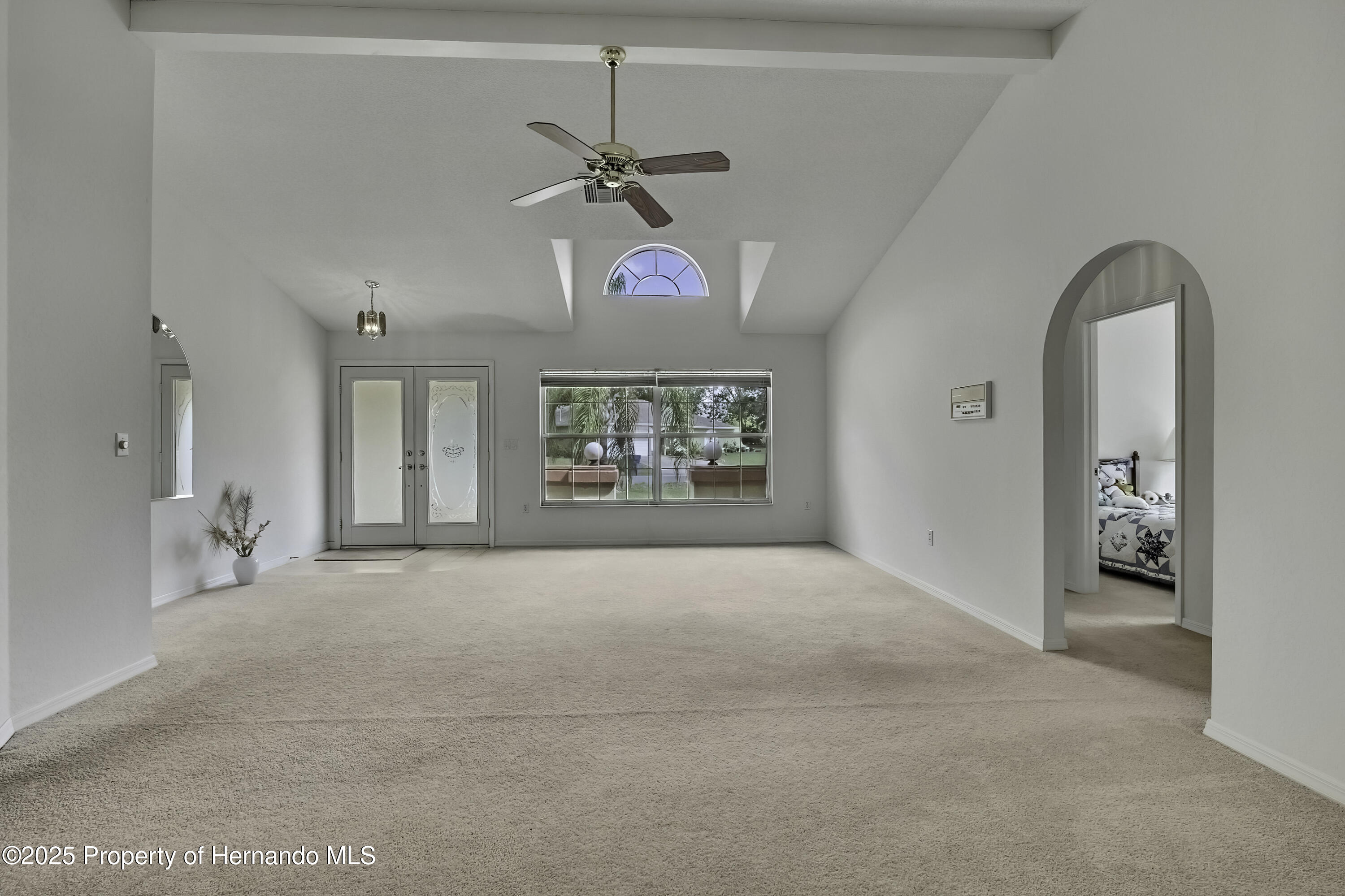 10412 Ireland Street, Spring Hill, Florida image 9