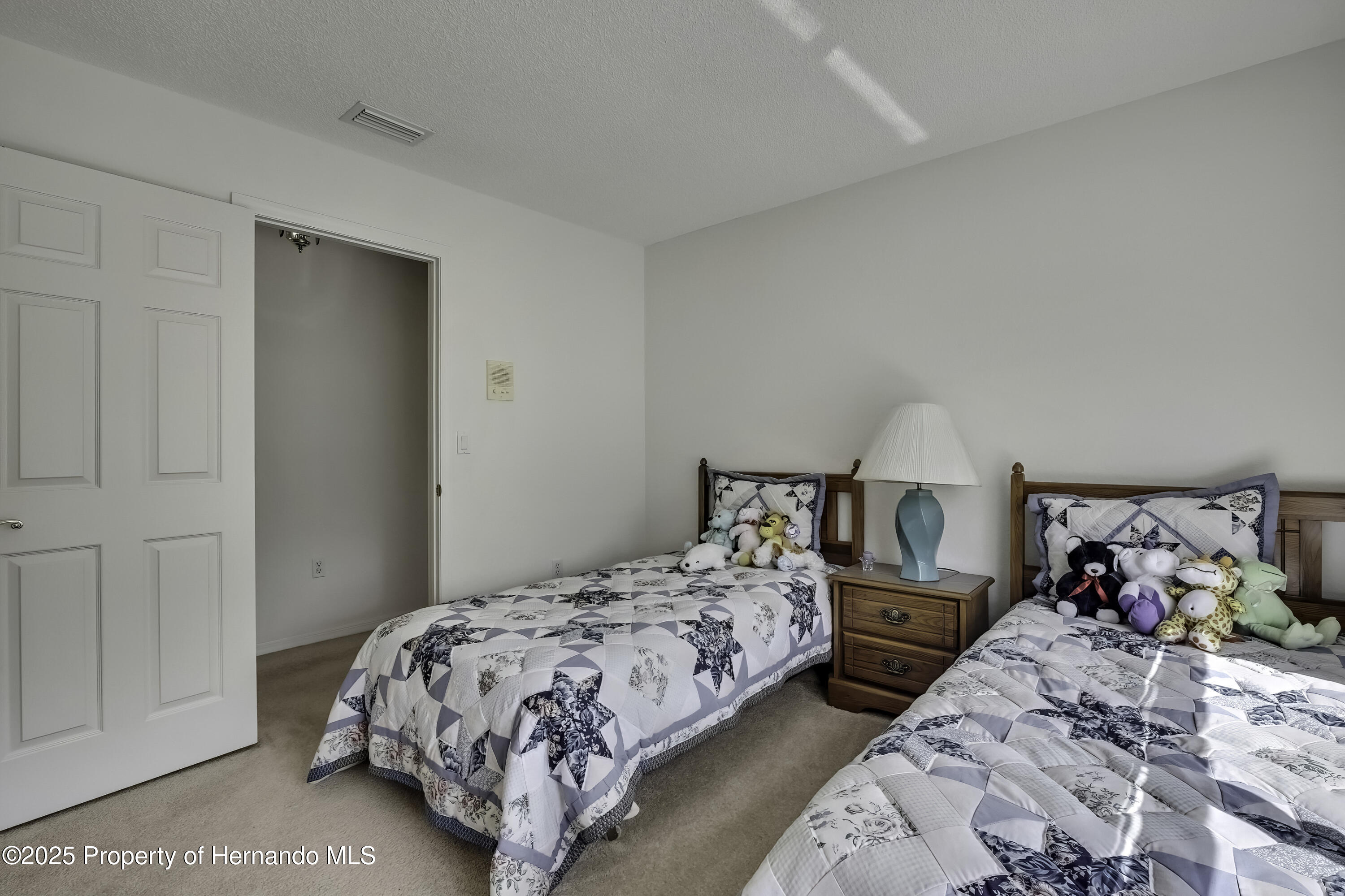 10412 Ireland Street, Spring Hill, Florida image 27
