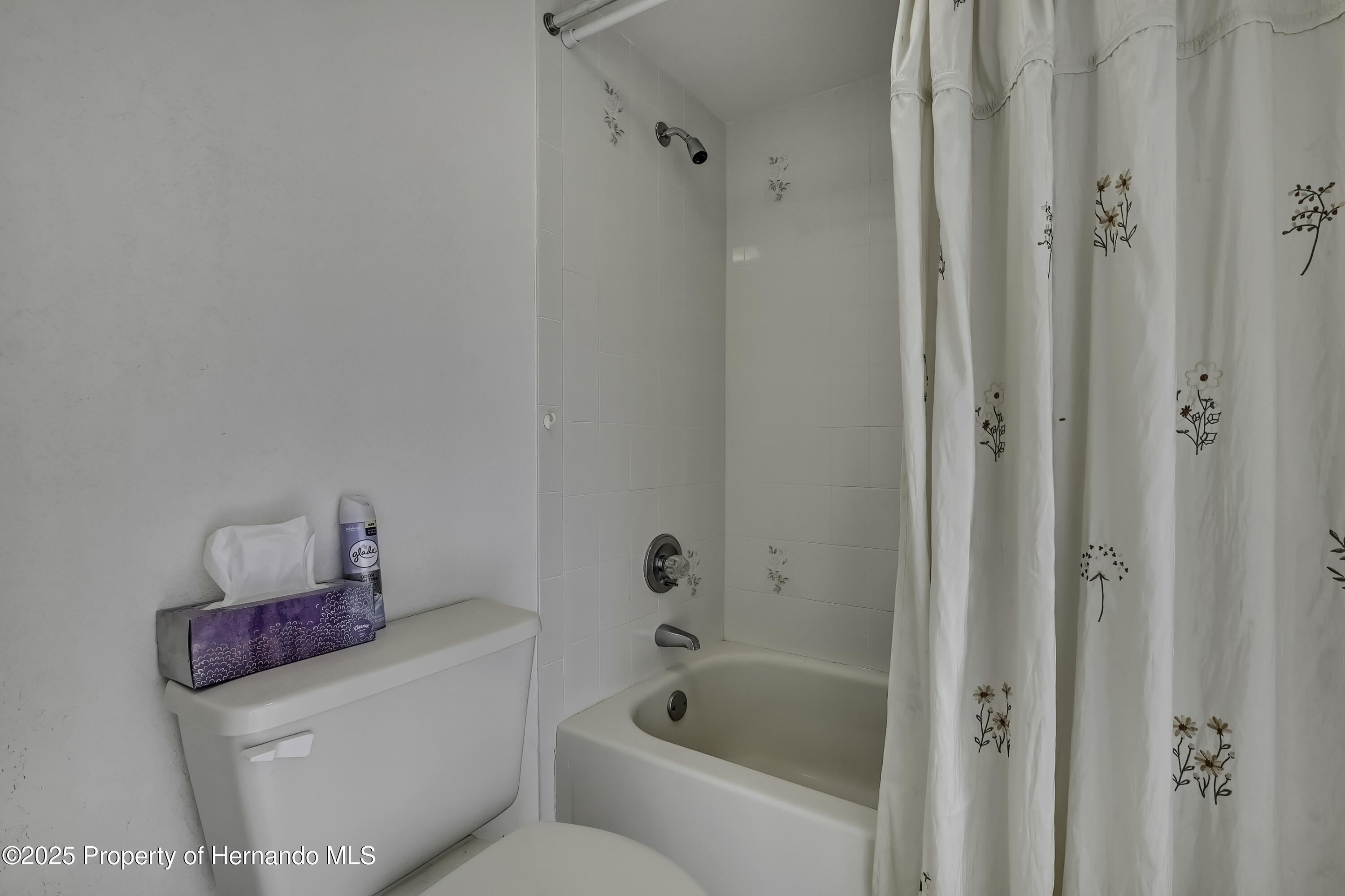 10412 Ireland Street, Spring Hill, Florida image 31