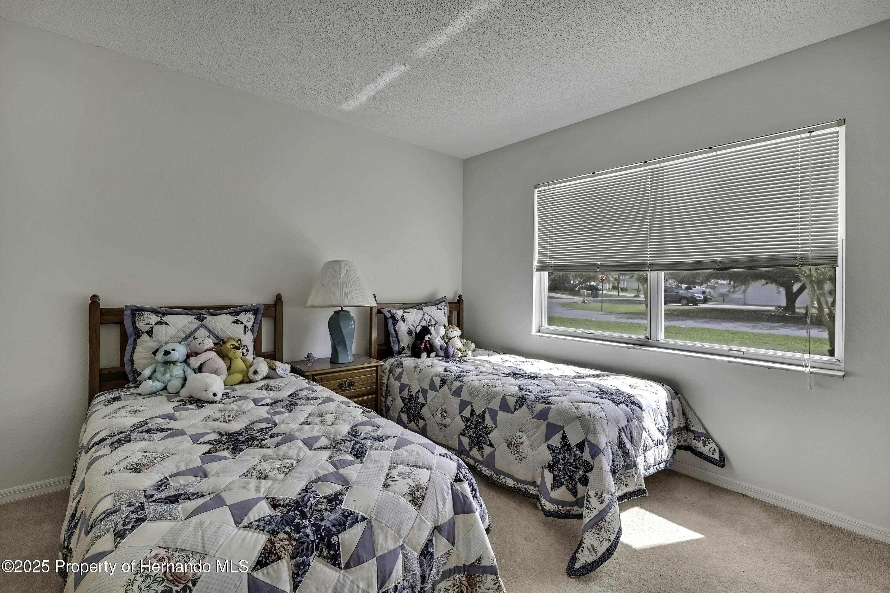 10412 Ireland Street, Spring Hill, Florida image 26