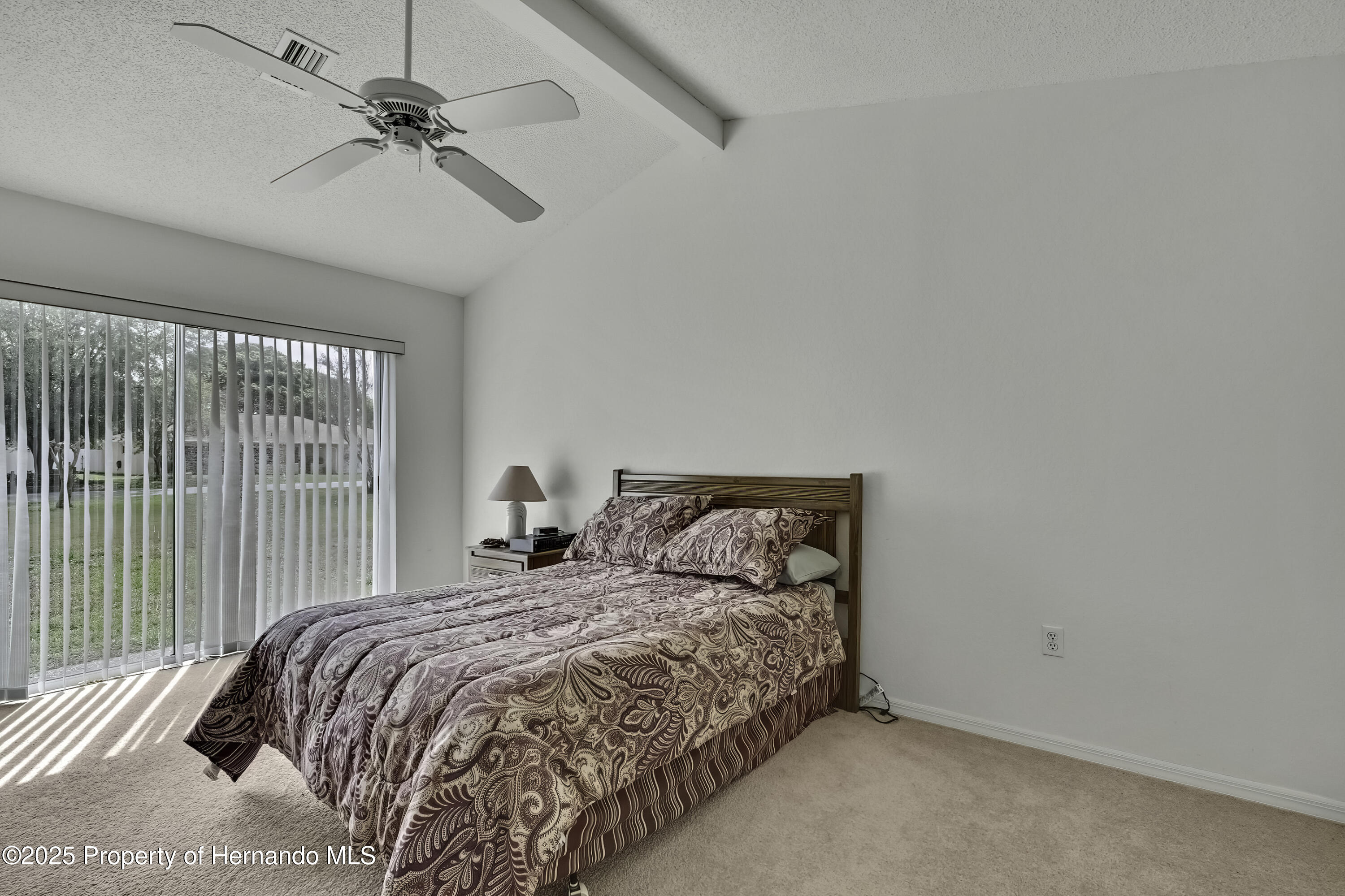 10412 Ireland Street, Spring Hill, Florida image 19