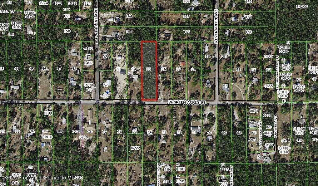 6259 W Green Acres Street, Homosassa, Florida image 2