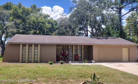 Homes For Sale - 2419 Appian Avenue<br/> Hernando County, Spring Hill, FL 34608