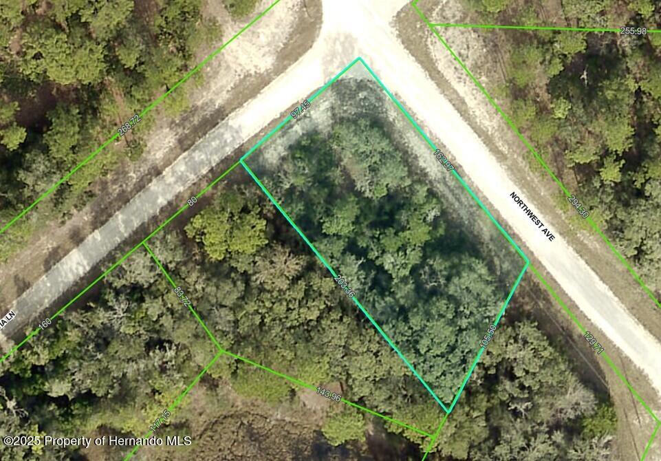 Lot #32 Northwest Avenue, Webster, Florida image 2
